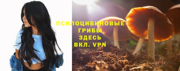 метамфетамин Липки